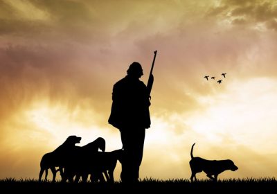 Carta abierta a Teresa Ribera. Luis Fernando Villanueva. Director de la Fundación Artemisan