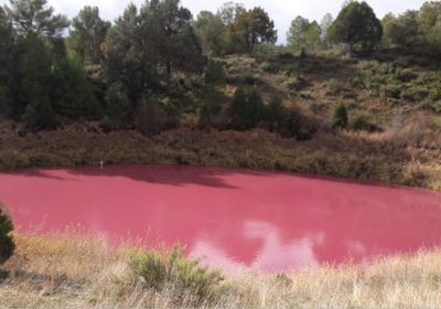 Encargan estudio sobre la laguna conquense que cambia de color