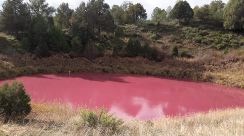 LAGUNILLA DE LAS TORTUGAS CAÑADA DEL HOYO