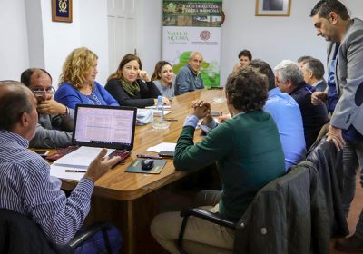 Valle de Alcudia autoriza más de 600.000 euros de ayudas LEADER