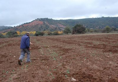 APAG alerta de nuevo sobre los daños de caza