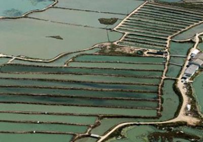 Convocadas ayudas para el fomento de la acuicultura en Castilla-La Mancha