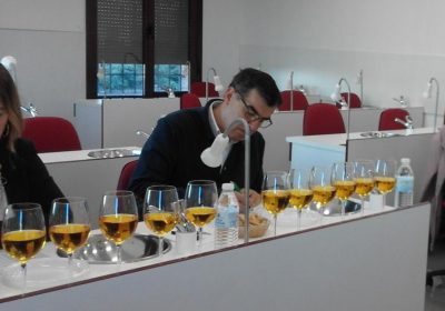 Análisis sensorial de vinos en DO, herramienta para calidad y diferenciación