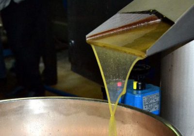 El mercado sigue atento a la baja reserva de aceite de oliva en España aceite de oliva