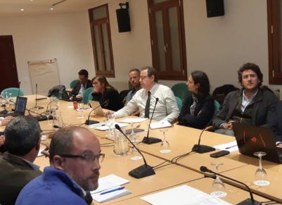 RFEC, Ministerio y Comisión Europea siguen trabajando contra la peste porcina