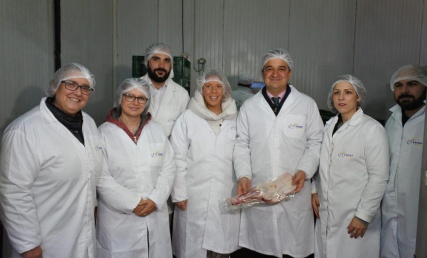 p1cubr7ug21sirjn21uju1ipf1sa4