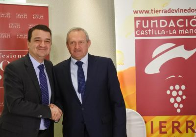 Tierra de Viñedos y OIVE, unidas para promocionar cultura del vino