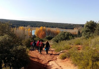 11.000 personas sensibilizadas a través del Programa de Educación Ambiental