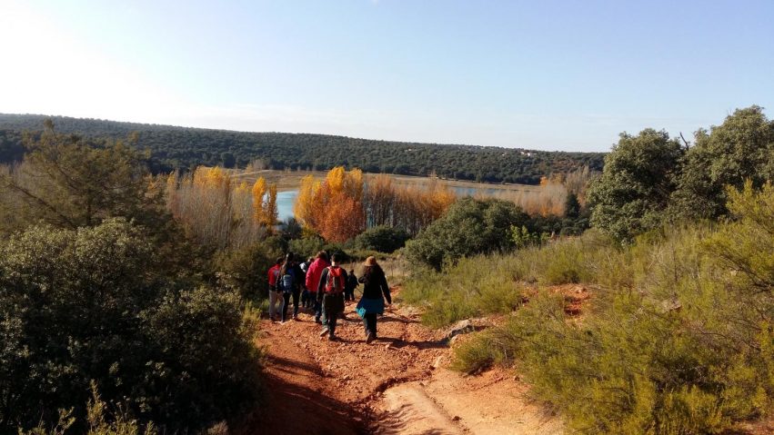 p1cvv68j0fg70ac21rk9f431ha4