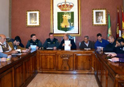 El Ayuntamiento de Piedrabuena toma medidas para combatir los robos de aceituna en los olivares