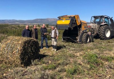 Proyecto piloto para prevenir incendios forestales con valorización de biomasa