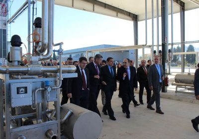 Integración cooperativa y calidad, claves para mejorar competitividad del sector olivarero