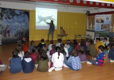 Comienza cuarta temporada del programa educativo «El lince en el cole»