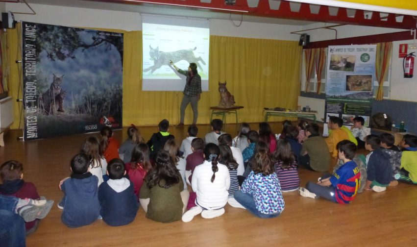 El lince en el cole (archivo)