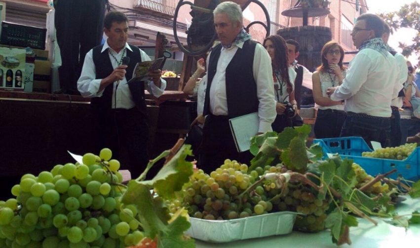 VILLARRUBI presi de la hdad habla en concurso racimos