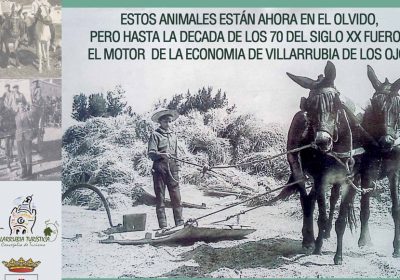 Villarrubia rinde homenaje a los equinos como motor de desarrollo local