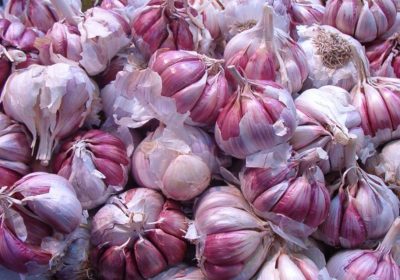 ¿Qué producto conquense puede ayudar a pacientes de Covid-19? ajo morado