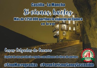 “Si vienes, hueles”: próximo slogan de Fitur para Cuenca como siga la evolución actual del sector porcino. Pueblos Vivos Cuenca