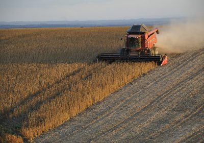 UE plantea aumentar producción de proteaginosas para reducir dependencia de importaciones
