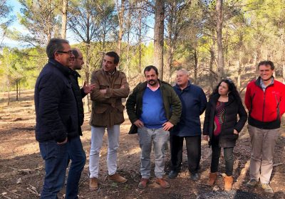 Trabajos preventivos de incendios forestales en el pinar de Chiloeches (Guadalajara)