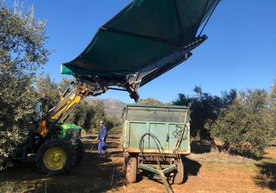 Suspenden la recolección mecanizada nocturna en olivares de Castilla-La Mancha