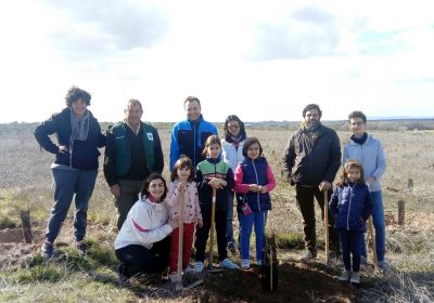 Plantación de árboles en Parque Nacional de Las Tablas de Daimiel