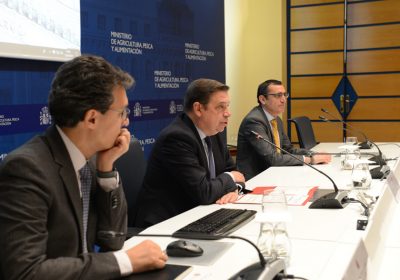 Apuesta por trabajo conjunto contra la Xylella fastidiosa