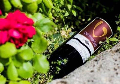 DO Valdepeñas planteará el aumento de los rendimientos de uva por hectárea