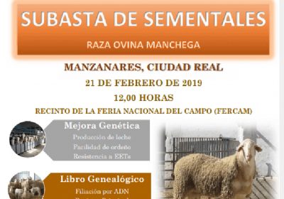 AGRAMA inicia su temporada de subastas en Manzanares