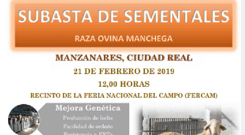 AGRAMA inicia su temporada de subastas en Manzanares