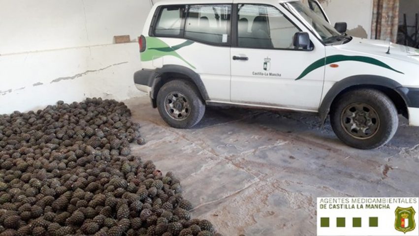 AGENTES MEDIOAMBIENTALES