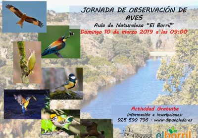 Nuevas Jornadas de observación de Aves en «El Borril»