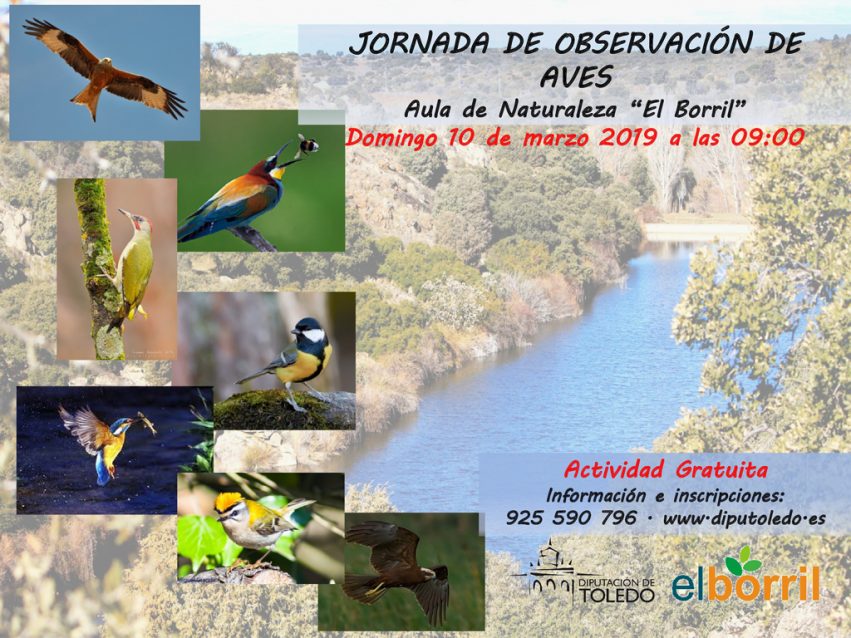 Jornada de observación de aves 11022019