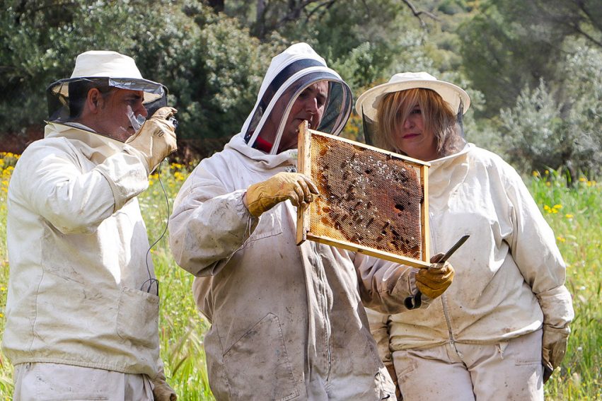 López sostiene un panal recién extraído de una de sus colmenas