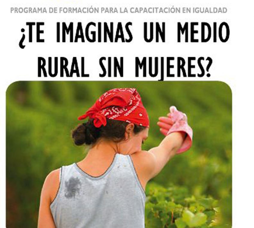 Programa_itinerario_formativo-1 2