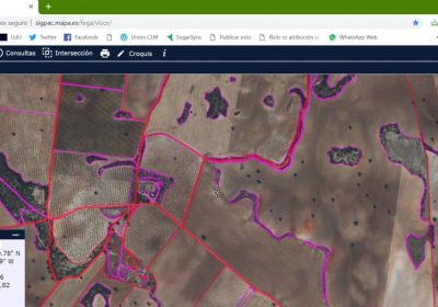 ¿En qué términos municipales no se utilizan las referencias del SIGPAC en la PAC 2025? SIGPAC