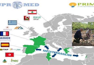 Seleccionado proyecto de UCLM sobre producción sostenible en ambientes hídricos mediterráneos