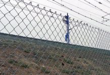 Advierte que la plaga de conejos afecta ya a carreteras, líneas ferroviarias, canales o embalses conejos