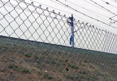 Adif instalará 467 kilómetros de vallado en líneas AVE contra conejos conejos