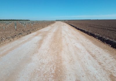 PP Tomelloso lamenta que equipo gobierno local se atribuya méritos «que no son suyos» como el del Camino Real