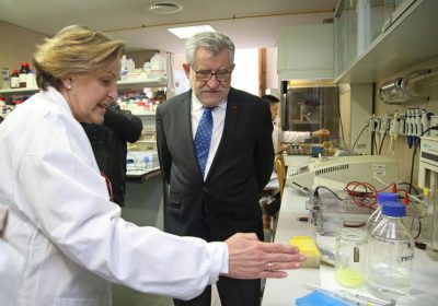 Investigan los beneficios del queso manchego para controlar el colesterol