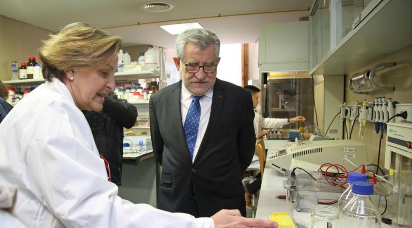 Investigan los beneficios del queso manchego para controlar el colesterol