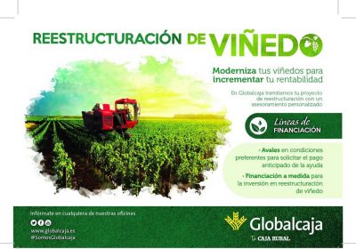 Globalcaja tramita las ayudas de reestructuración de viñedo