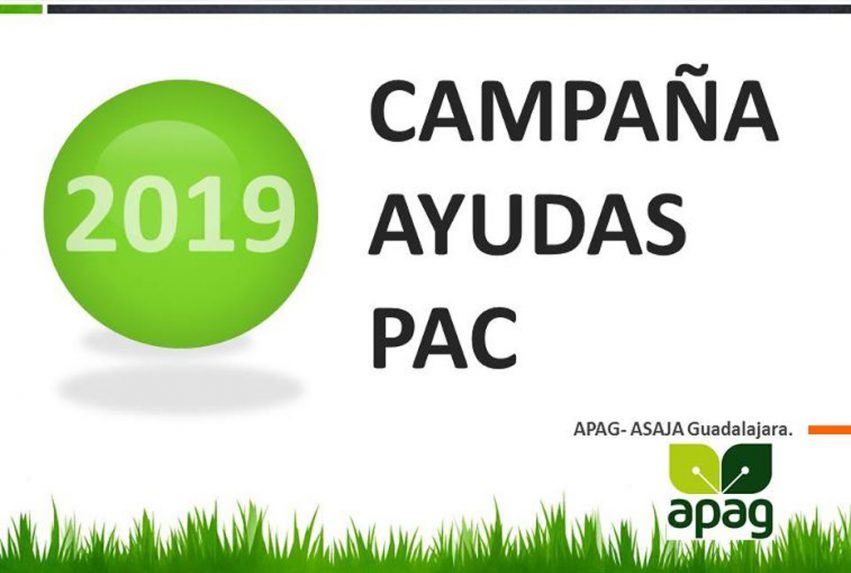 imagenPAC2019