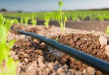 Reclama una revisión de las dotaciones de agua para los regantes del Alto Guadiana riego por goteo