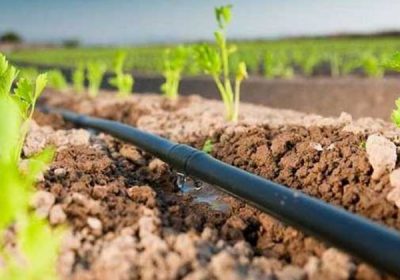 Merino acusa a García-Page de volver a engañar al campo castellanomanchego en materia de agua riego por goteo