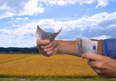 Sube a 25.000 euros tope ayudas “de mínimis” a explotaciones agrarias
