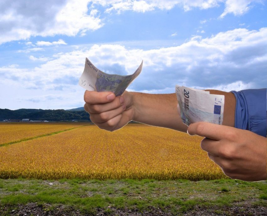 the-agricultural-commercial-companies-3072945_1280-e1550837331681