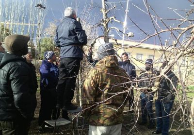 Plantea vías de colaboración con Bienestar Social para dinamizar medio rural