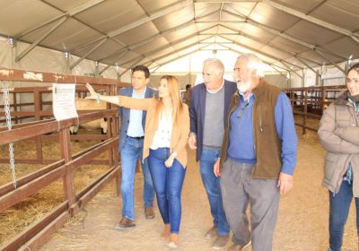 Agudo (PP) se reúne con ganaderos en Feria ‘La Cuerda’